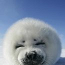 로얄프라자 이미지