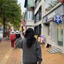 차향 | 🌿 차백도 경희대점 방문후기 — 신선한 차 향에 푹 빠진 하루 💚