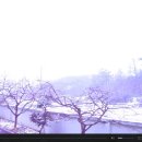 각남면사무소 이미지