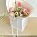 flower 테오