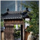 돌담집 이미지