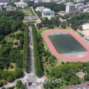 전남대학교 면역치료혁신센터 이미지