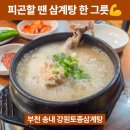 강원삼계탕 | 부천 보양식 맛집 추천｜송내 강원토종삼계탕 후기 (원기회복에 최고👍)