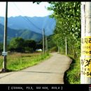 양평로그캠프 이미지