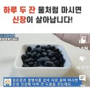 하루 두 잔ㅡ신장에 좋은 차 이미지