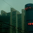 와인성형외과의원 | 2025년 대박 스캔들! 박나래 '주사 이모' 출국금지…불법 주사 의혹 폭로 충격