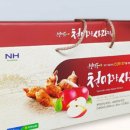 반딧불천마