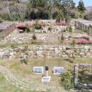 유림-1171 이미지