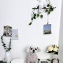 더빛나개 이미지