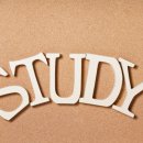 파우파우(PAW PAW) 이미지