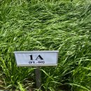 우수사료 이미지