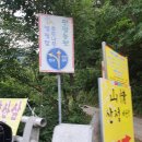 광덕산관광농원호두나무캠핑장 이미지