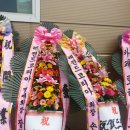 스탈리안스테이블
