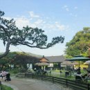 예이제448 이미지