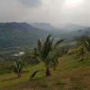 ABC 골프 이미지