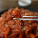 목포뻘낙지 이미지