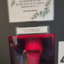더 그린즈 이미지