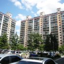 우성1공인중개사사무소 | 하나공인중개사사무소 우성(시범단지) 1층 전세 8억 5,000