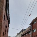 강남-116 이미지