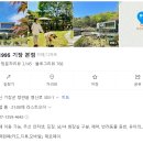 유정1955 이미지