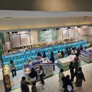 독스하트 | [팝업후기] 문호 스트레이독스