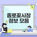 종로꽃시장 방문 안내와 꿀팁은 무엇인가