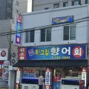 부산 향어회 추천 동래 원조 향어집 아그집향어