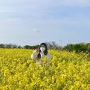 저청중학교 | [CJ UNIT 6기]사전교육/제주도 현장지원 후기