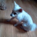 도계주유소 이미지