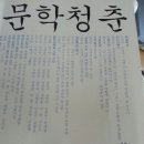 디카시 출현 10주년 기념 대담 아름다운 크로스오버(《문학청춘》2014년 여름호 대담특집 이미지