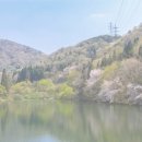 도시의 아침 이미지