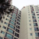 삼정 뷰그리안 이미지