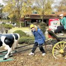 창겸목장 이미지