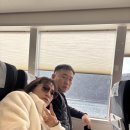 훼미리카서비스 | Tsushima