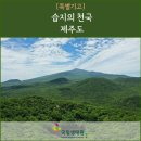 선흘리 백서향 및 변산일엽군락 | 『특별기고문』 습지의 천국 제주도
