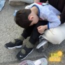 버드벨리 | 이 정도라고..? 에버랜드 사람 폭발한 오늘 평일 월요일 후기 (튤립축제, 공연, 애니멀톡, 웨이팅)