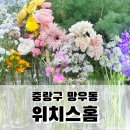 위치스홈 | 중랑구 망우동 꽃집 오늘의 꽃다발