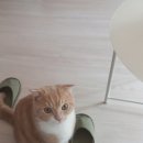 순동농장 이미지