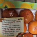 황소고을