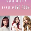 리안헤어항동점