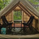 설렘 가득 <서울 캠핑장>으로 떠나요!🏕️