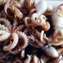 연안유선 이미지