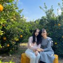 창주농장 이미지