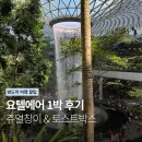 하단지구대 옆 교통섬2 내 | [싱가포르] 창이공항 요텔에어 후기 | 쥬얼창이 폭포 &amp; 토스트박스까지