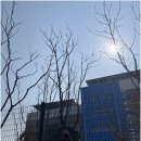 포디움 | 수학의 길을 열어주는 한홀중수학 올포디움학원 후기