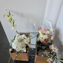 아이그루비뷰티 | [W08] 결혼 준비 8탄 - 그루비오블랙┃웨딩촬영 후기📸