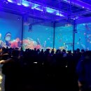 미디어피쉬 이미지