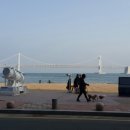 광안리 해수욕장 해변도로에서 보는 광안대교와 주변 (2015.3.20) 이미지