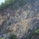 무릉도원면사무소 이미지