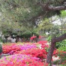 손불면사무소 이미지